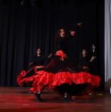 IMG_7984